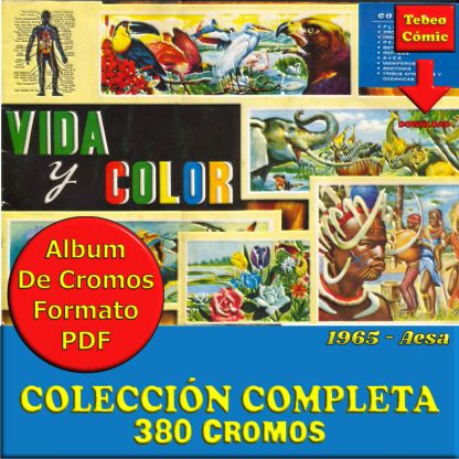 VIDA Y COLOR - 1965 – Colección Completa 380 Cromos - Álbum De Cromos En Formato PDF - Descarga Inmediata