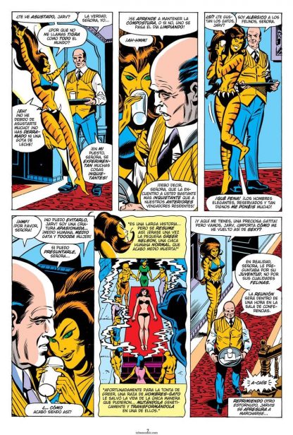 LOS VENGADORES 2 - 2011 - Continuación a OMNIGOLD – Colección Completa – 19 Tomos En Formato PDF - Descarga Inmediata
