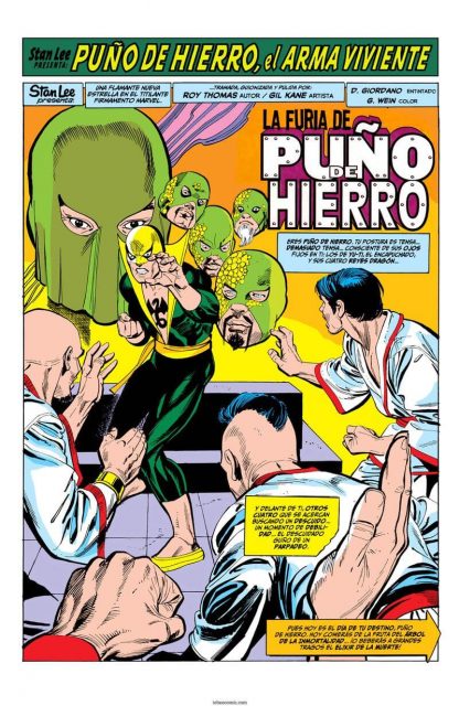 PUÑO DE HIERRO (Iron Fist) - Omnigold - 2014 – 1 Tomo En Formato PDF - Descarga Inmediata