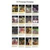 RELATOS DEL NUEVO MUNDO - 1992 - Planeta – Colección Completa – 25 Libros En Formato PDF - Descarga Inmediata