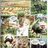 RELATOS DEL NUEVO MUNDO - 1992 - Planeta – Colección Completa – 25 Libros En Formato PDF - Descarga Inmediata