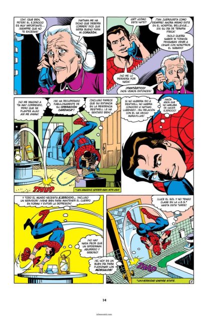 EL ASOMBROSO SPIDERMAN 2 - 2010 - Continuación a OMNIGOLD – Colección Completa – 9 Tomos En Formato PDF - Descarga Inmediata