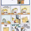 CALVIN Y HOBBES - 1998 – Colección Completa – 10 Libros En Formato PDF - Descarga Inmediata