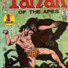 TARZAN - The Joe Kubert Years - En Español - 2005 - Colección Completa - 10 Libros En Formato PDF - Descarga Inmediata
