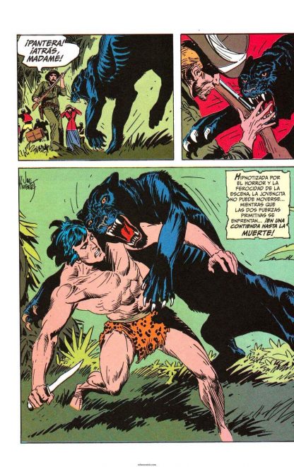 TARZAN - The Joe Kubert Years - En Español - 2005 - Colección Completa - 10 Libros En Formato PDF - Descarga Inmediata