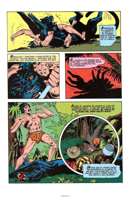 TARZAN - The Joe Kubert Years - En Español - 2005 - Colección Completa - 10 Libros En Formato PDF - Descarga Inmediata