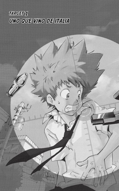 TUTOR HITMAN REBORN - 2007 – Colección Completa – 42 Libros En Formato PDF - Descarga Inmediata
