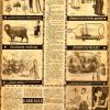 LA CODORNIZ - Vol. 4 - 1941 - Lote de 100 Revistas En Formato PDF - Descarga Inmediata