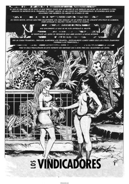 VAMPIRELLA - Época Warren – En Español - Inédita - Colección De 13 Tomos En Formato PDF - Descarga Inmediata