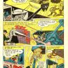 BATMAN - Vol. 2 - 1954 - Novaro - Lote de 100 Tebeos En Formato PDF - Descarga Inmediata (copia)