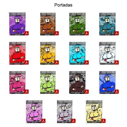 EL HOMBRE ENMASCARADO - Crónicas De Mis Antepasados - Vol. 3 Y ÚLTIMO – 15 Tomos En Formato PDF - Descarga Inmediata