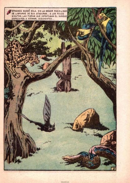 LEYENDAS DE AMÉRICA - Vol. 2 - 1956 - Novaro - Lote de 100 Tebeos En Formato PDF - Descarga Inmediata