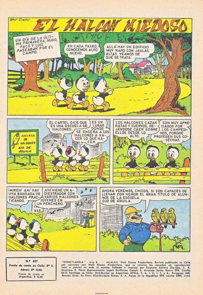 DISNEYLANDIA - Vol. 5 - 1962 - Lote de 100 Tebeos En Formato PDF - Descarga Inmediata