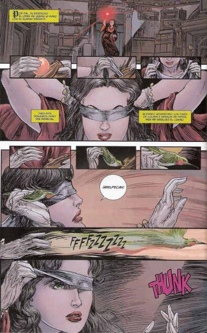 MADAME XANADU - En Español - 2008 - Colección Completa - 29 Cómics En Formato PDF - Descarga Inmediata