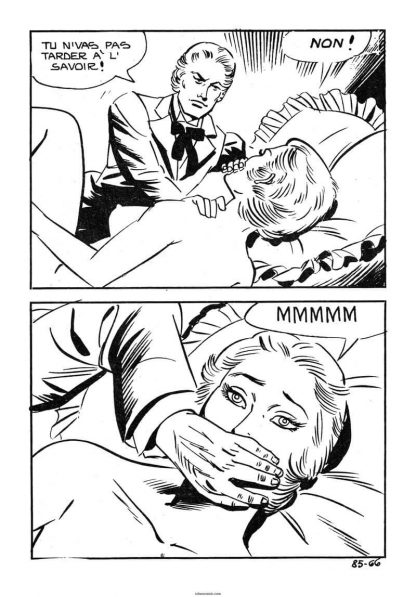 CÓMIC ERÓTICO FRANCÉS - Original En Francés - Vol. 1 - Lote de 50 Libros En Formato PDF - Descarga Inmediata