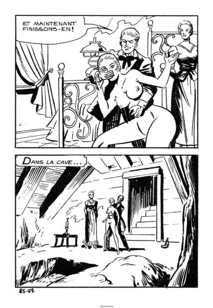 CÓMIC ERÓTICO FRANCÉS - Original En Francés - Vol. 1 - Lote de 50 Libros En Formato PDF - Descarga Inmediata