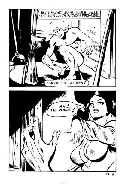 CÓMIC ERÓTICO FRANCÉS - Original En Francés - Vol. 2 - Lote de 50 Libros En Formato PDF - Descarga Inmediata