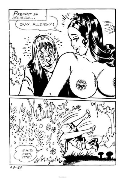 CÓMIC ERÓTICO FRANCÉS - Original En Francés - Vol. 2 - Lote de 50 Libros En Formato PDF - Descarga Inmediata