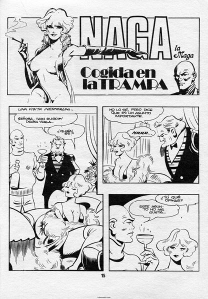 CÓMIC ERÓTICO ESPAÑOL - Vol. 2 - Lote de 100 Cómics En Formato PDF - Descarga Inmediata