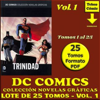 DC COMICS COLECCIÓN NOVELAS GRÁFICAS - Vol. 1 – 2016 - Lote De 25 Tomos En Formato PDF - Descarga Inmediata (copia)