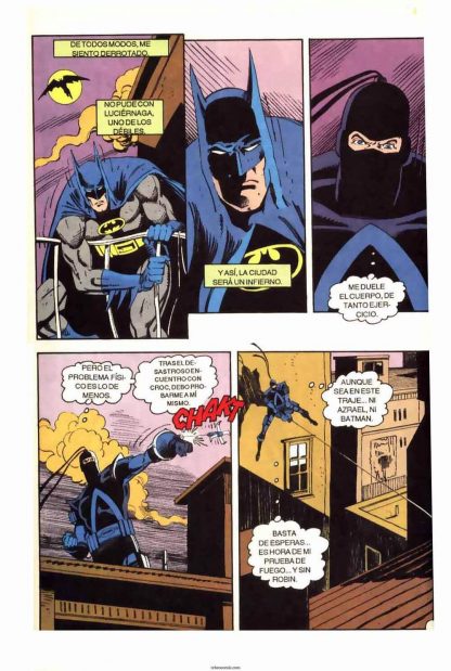 BATMAN - La Historia Y La Leyenda - 2008 - Colección Completa - 20 Libros En Formato PDF - Descarga Inmediata