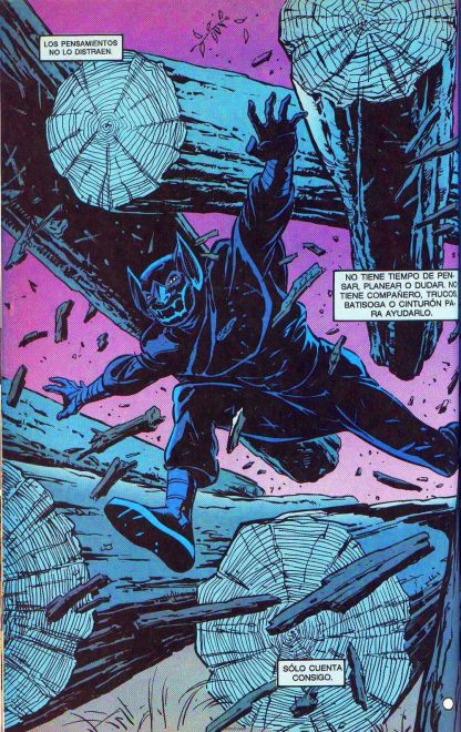 BATMAN - La Historia Y La Leyenda - 2008 - Colección Completa - 20 Libros En Formato PDF - Descarga Inmediata