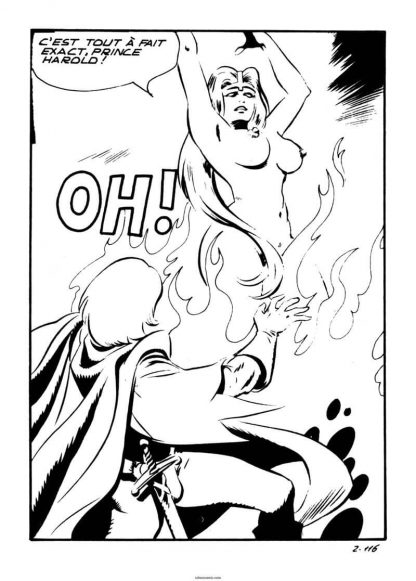 CÓMIC ERÓTICO FRANCÉS - Original En Francés - Vol. 4 - Lote de 50 Libros En Formato PDF - Descarga Inmediata