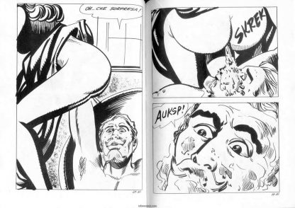 CÓMIC ERÓTICO ITALIANO - Original En Italiano - Vol. 1 - Lote de 50 Libros En Formato PDF - Descarga Inmediata