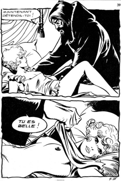 CÓMIC ERÓTICO FRANCÉS - Original En Francés - Vol. 6 - Lote de 50 Libros En Formato PDF - Descarga Inmediata