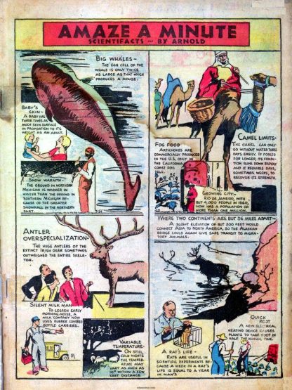 FAMOUS FUNNIES – 1934 - USA Original En Inglés – Colección Completa – 218 Cómics En Formato PDF - Descarga Inmediata