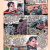 SUPERMAN Y SUS AMIGOS - 1956 – Colección Completa – 24 Tebeos En Formato PDF - Descarga Inmediata