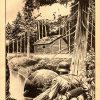 BOIXCAR - Obras Completas – 1965 - Colección Completa – 110 Tebeos En Formato PDF - Descarga Inmediata