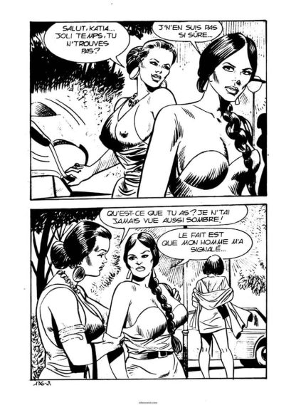 CÓMIC ERÓTICO FRANCÉS - Original En Francés - Vol. 9 - Lote de 50 Libros En Formato PDF - Descarga Inmediata