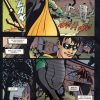 ROBIN - 2009 - Universo DC - Colección Completa – 6 Tomos En Formato PDF - Descarga Inmediata