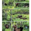 THORGAL - 1980 - En Español - Vol.1 - Lote De 20 Libros En Formato PDF - Descarga Inmediata